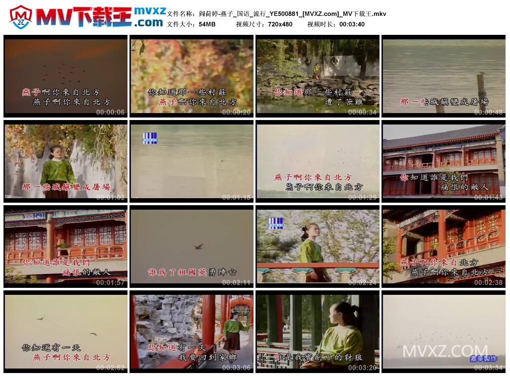 阎荷婷-燕子_国语_流行_YE500881